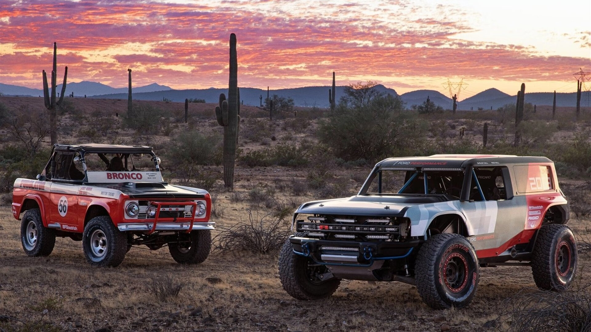 斯图加特新帅携队逆袭，战绩提升，斯图加特图片