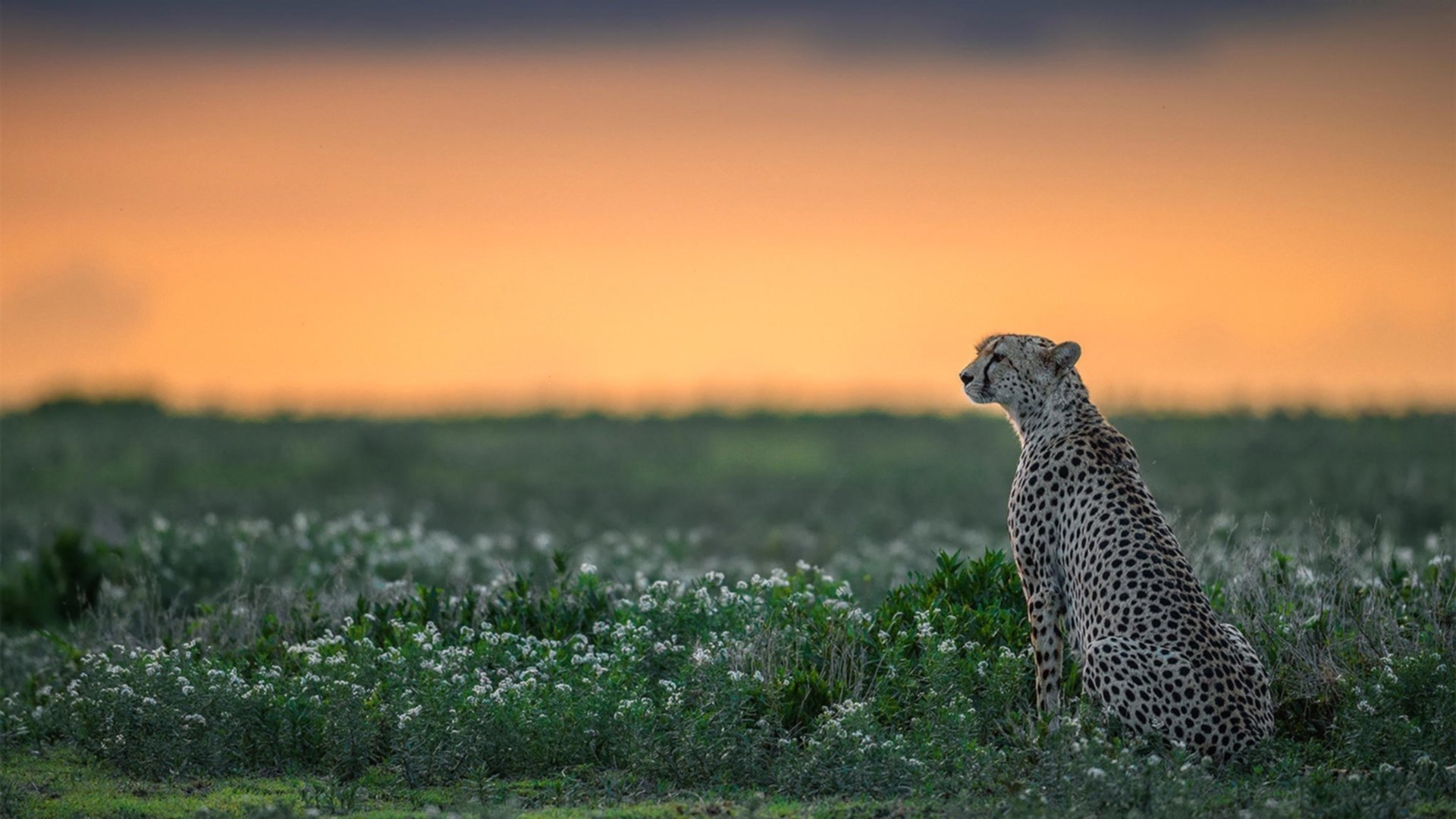 开云网站-中国赛艇奥运阵容出炉，新老搭配力求突破，中国赛艇奥运冠军