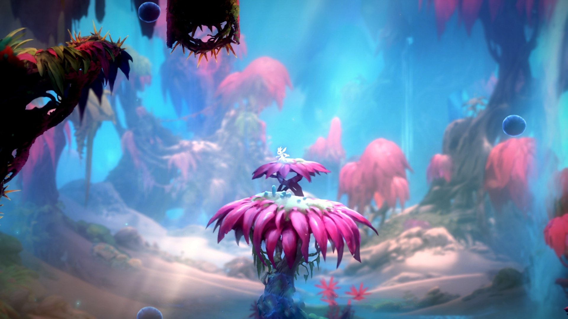 哈兰德梅开二度，欧冠锋线新宠闪耀，德甲 哈兰德